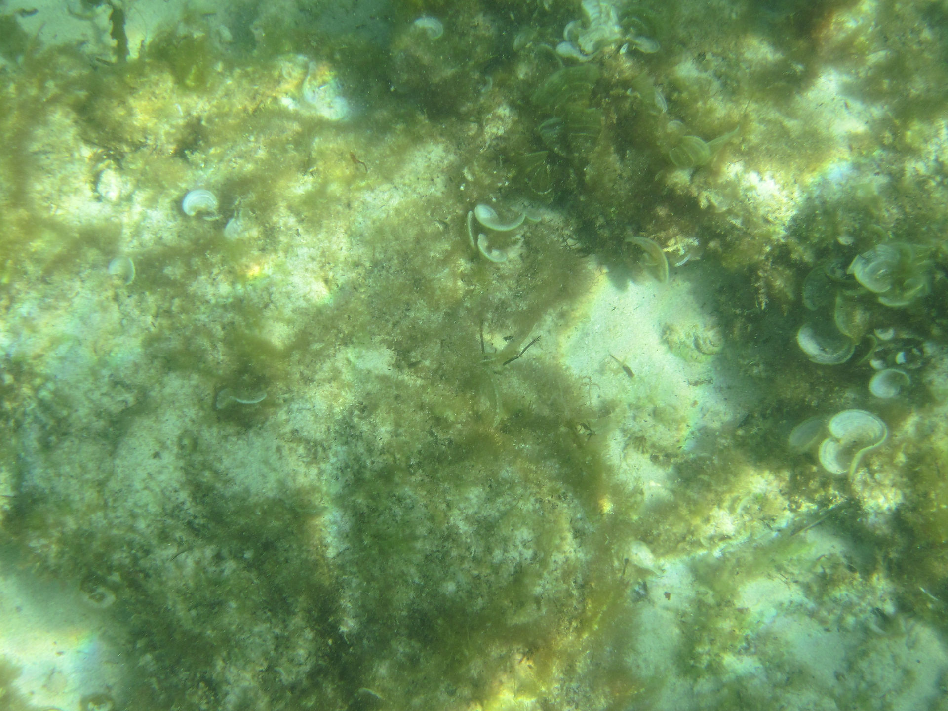 Mettams Pool- Adventure WA
