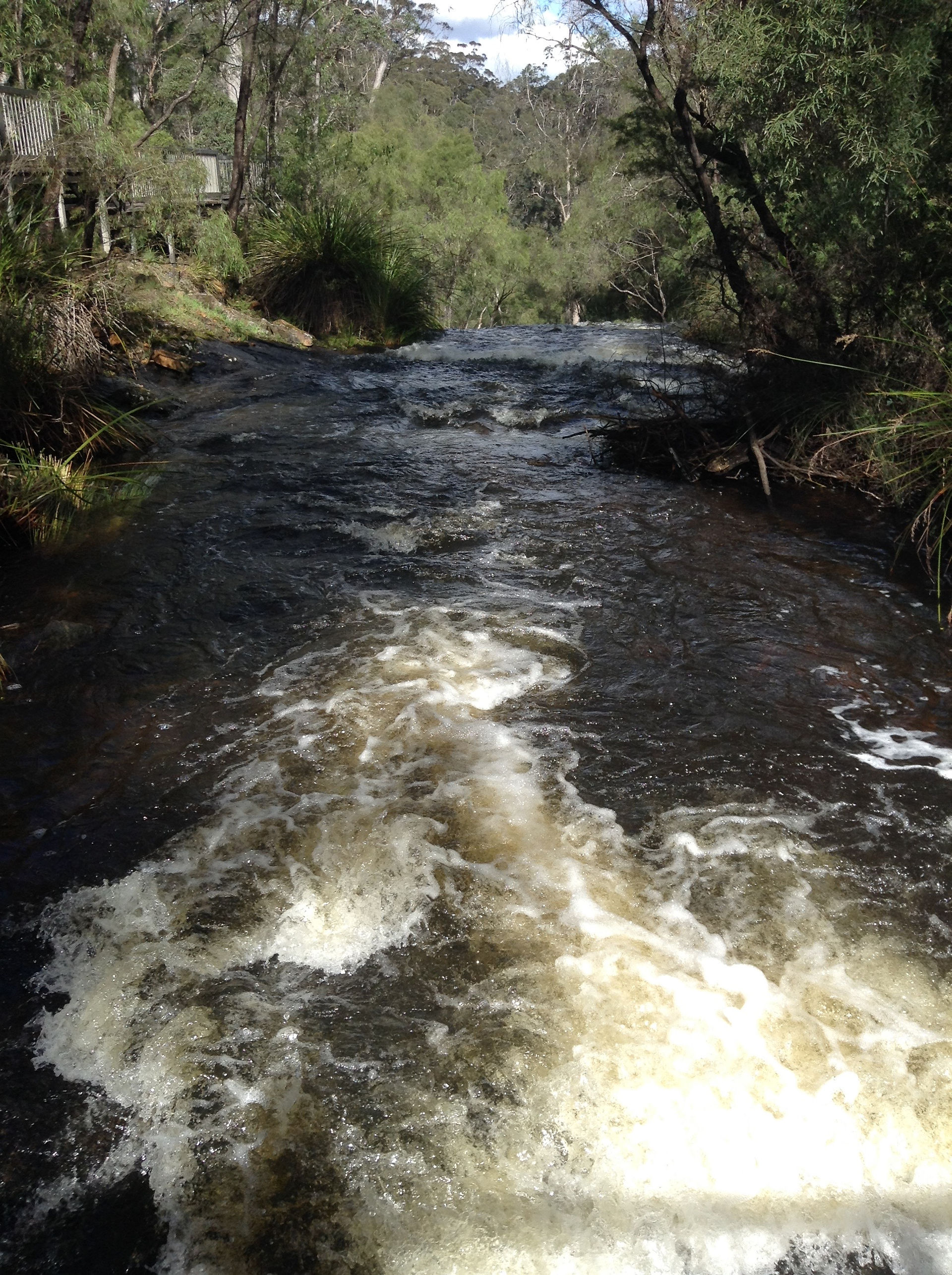 Beedelup- Adventure WA