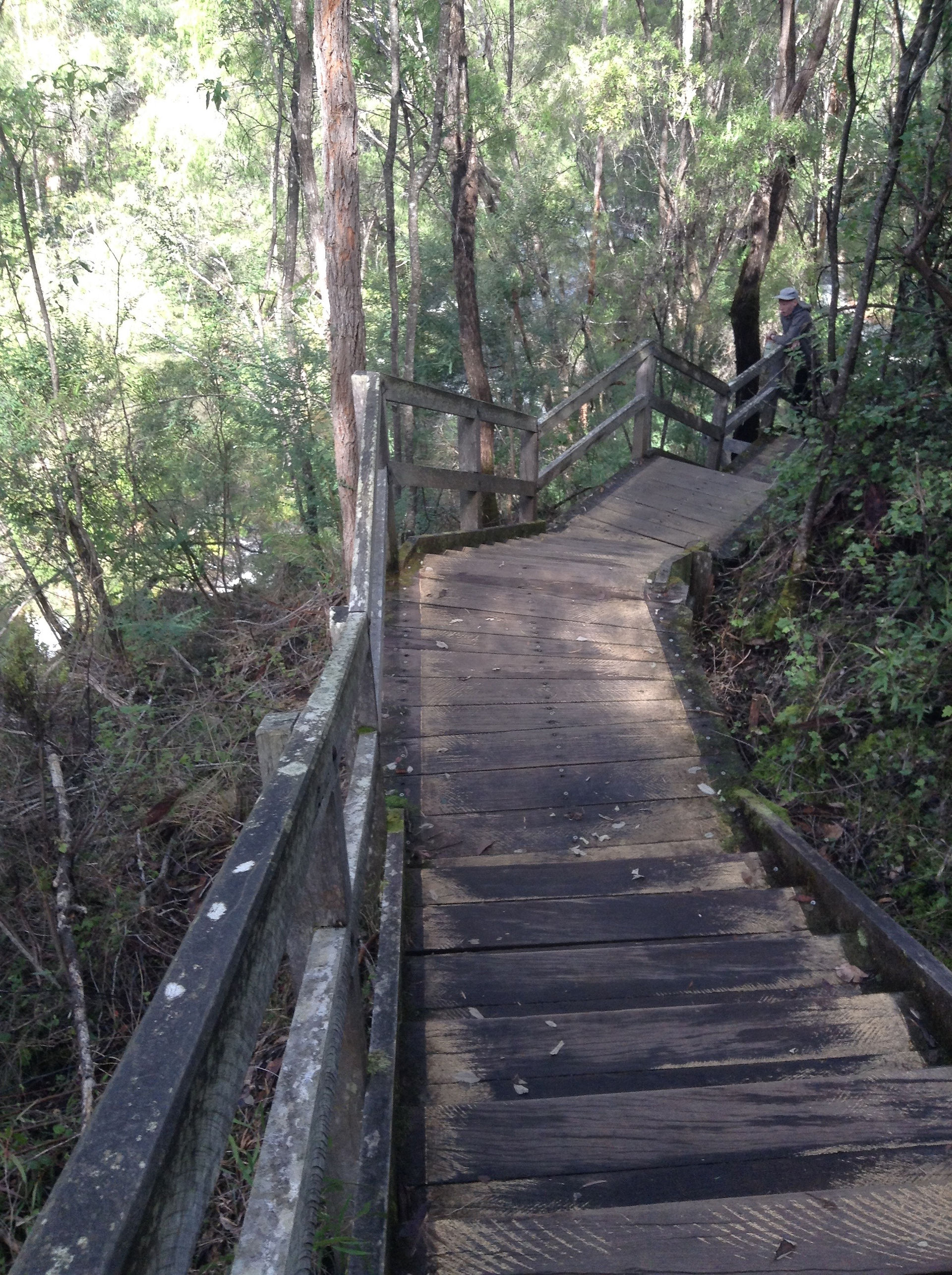 Beedelup- Adventure WA
