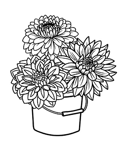button dahlias