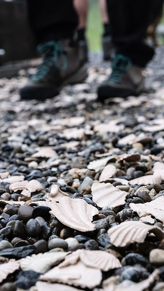 WhatsApp Image 2025-07-28 at 13.45.19 (12).jpeg