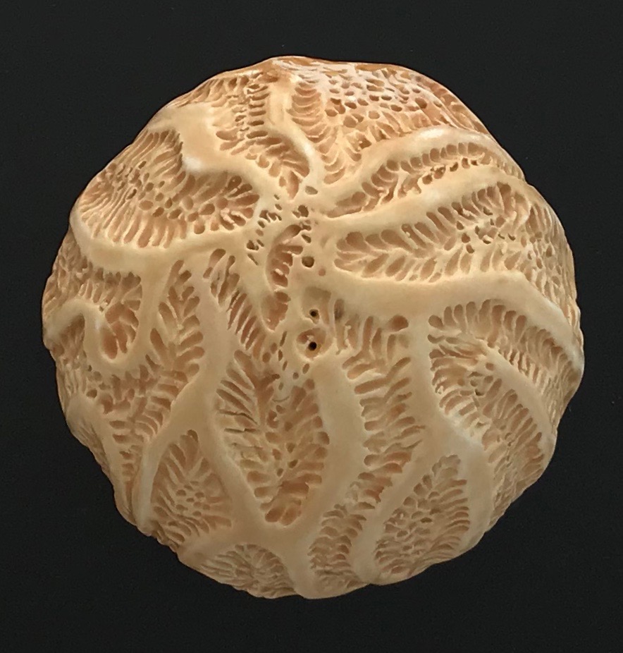 Marigold Coral