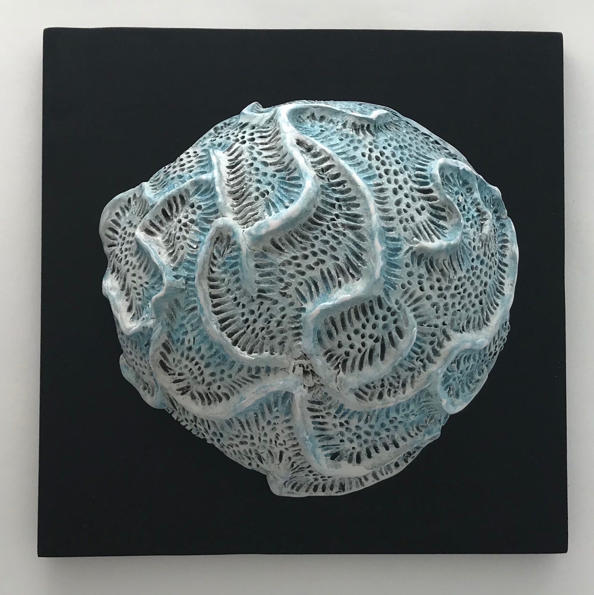 Turquoise Brain Coral