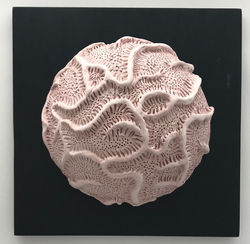 Mauve Brain Coral