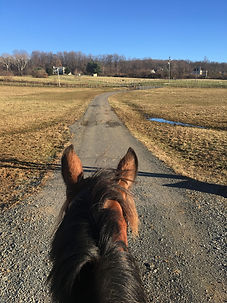 trail ride.jpeg