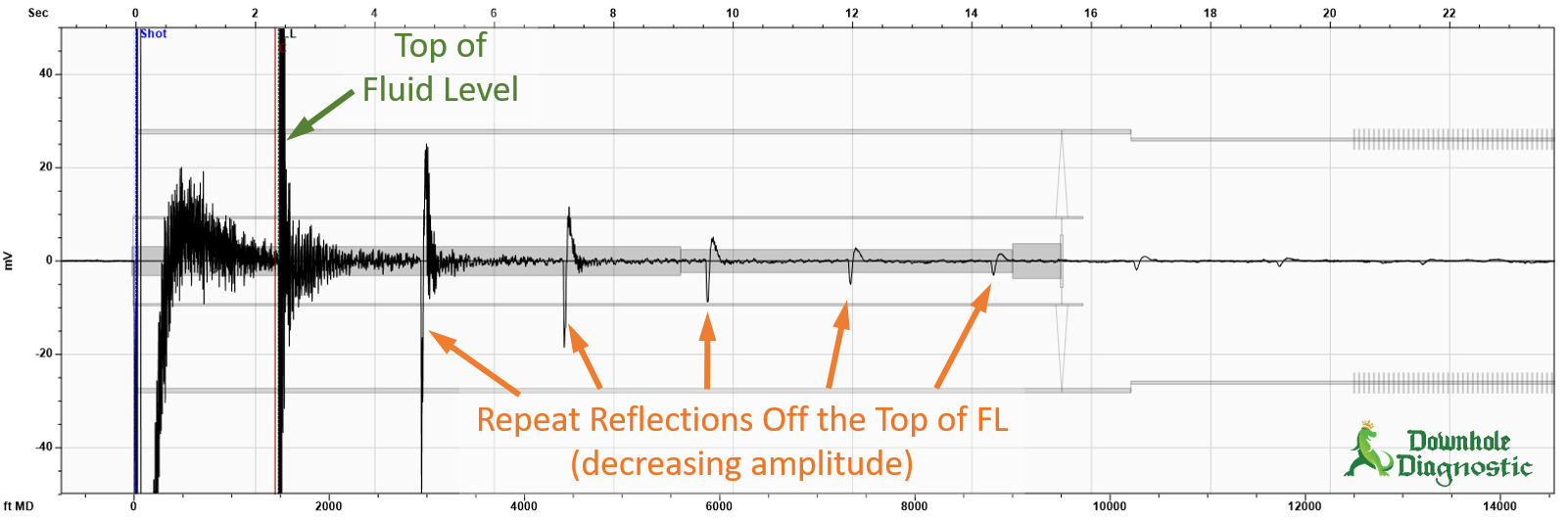 2 High Fluid Level w/ Repeat Reflections