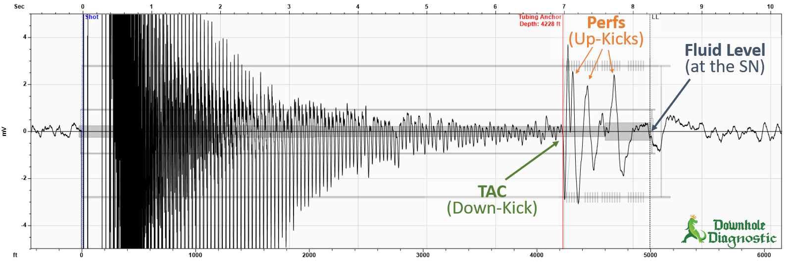 Echometer Fluid Level Surveys How They Work Downhole Diagnostic