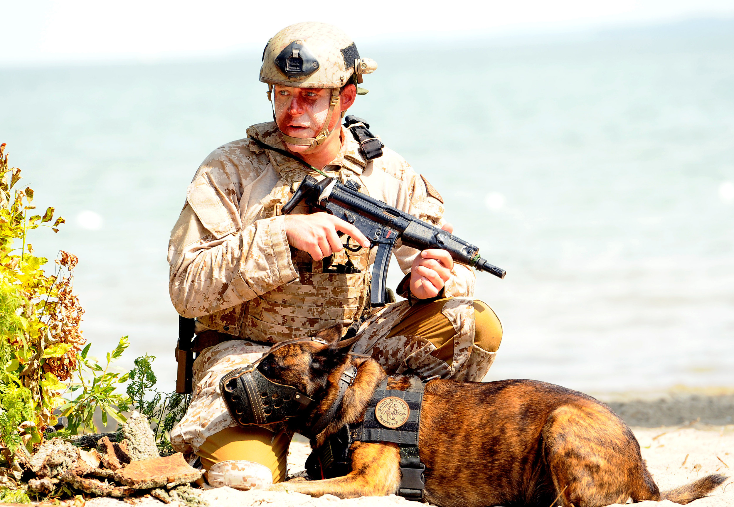 Miliatary/SWAT/SAR K9 Training Black Paw Canine Dog Training Ohio