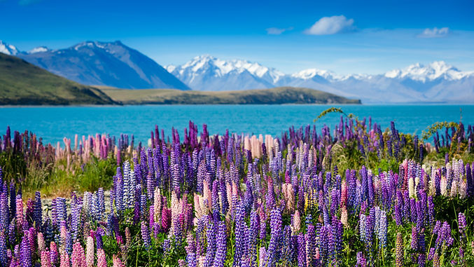 iStock-465993201_edited.jpg