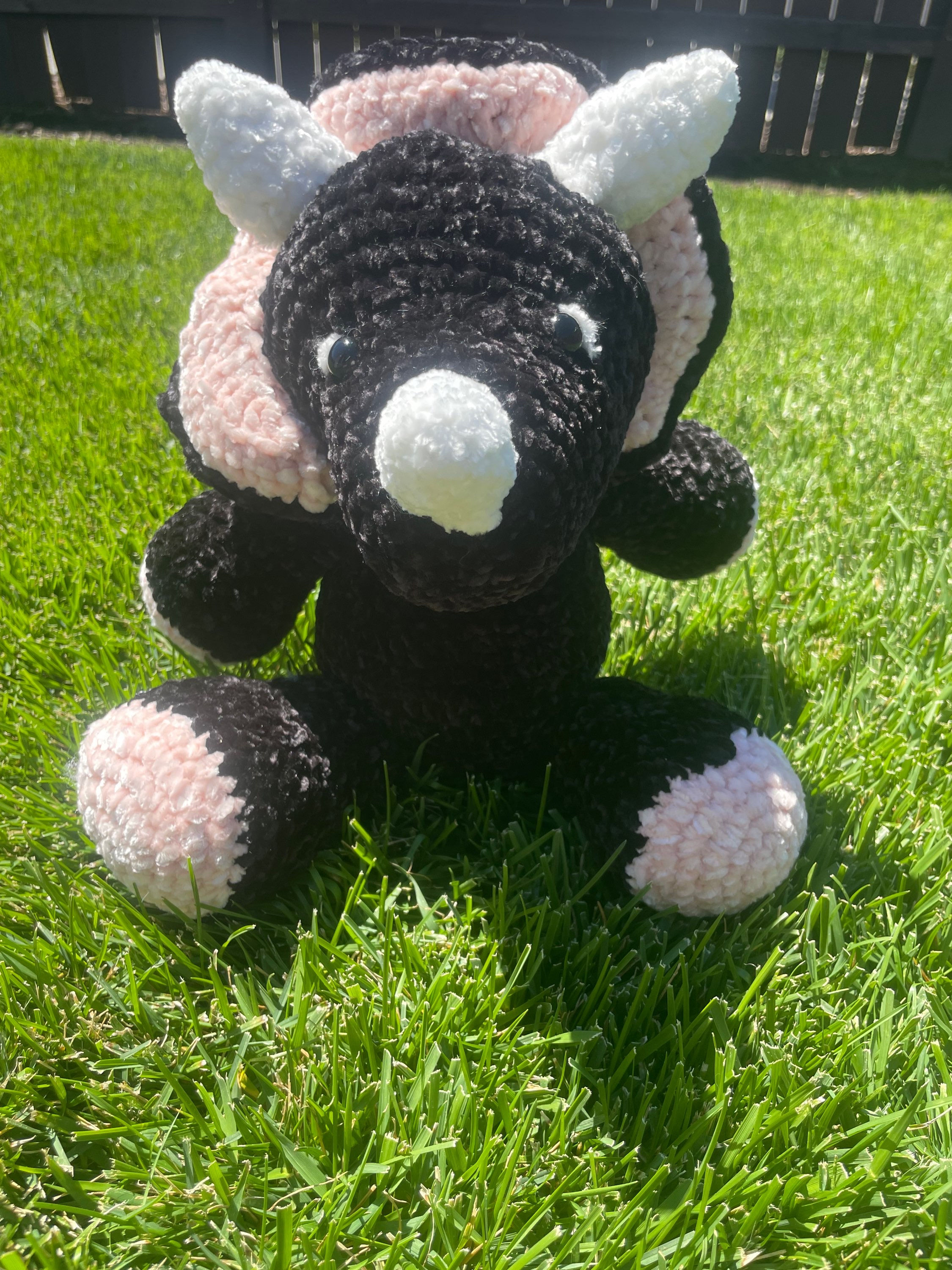 Jumbo Tanner the triceratops 