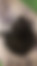 sahiplendirme için kedi ilanlari gösteren ikinci küçük fotoğraf