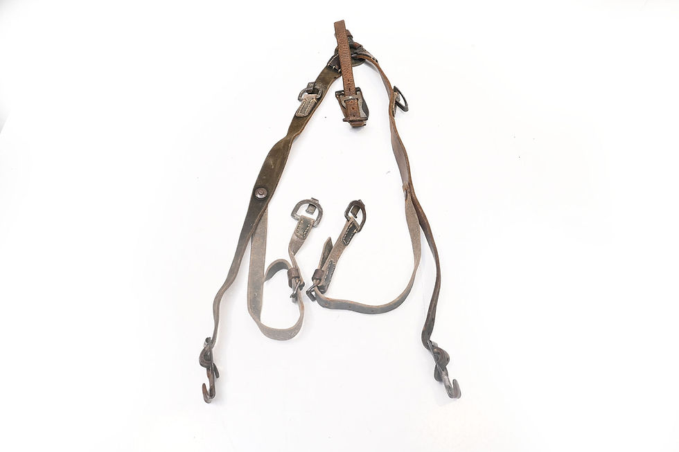 duitse yriem last ditch