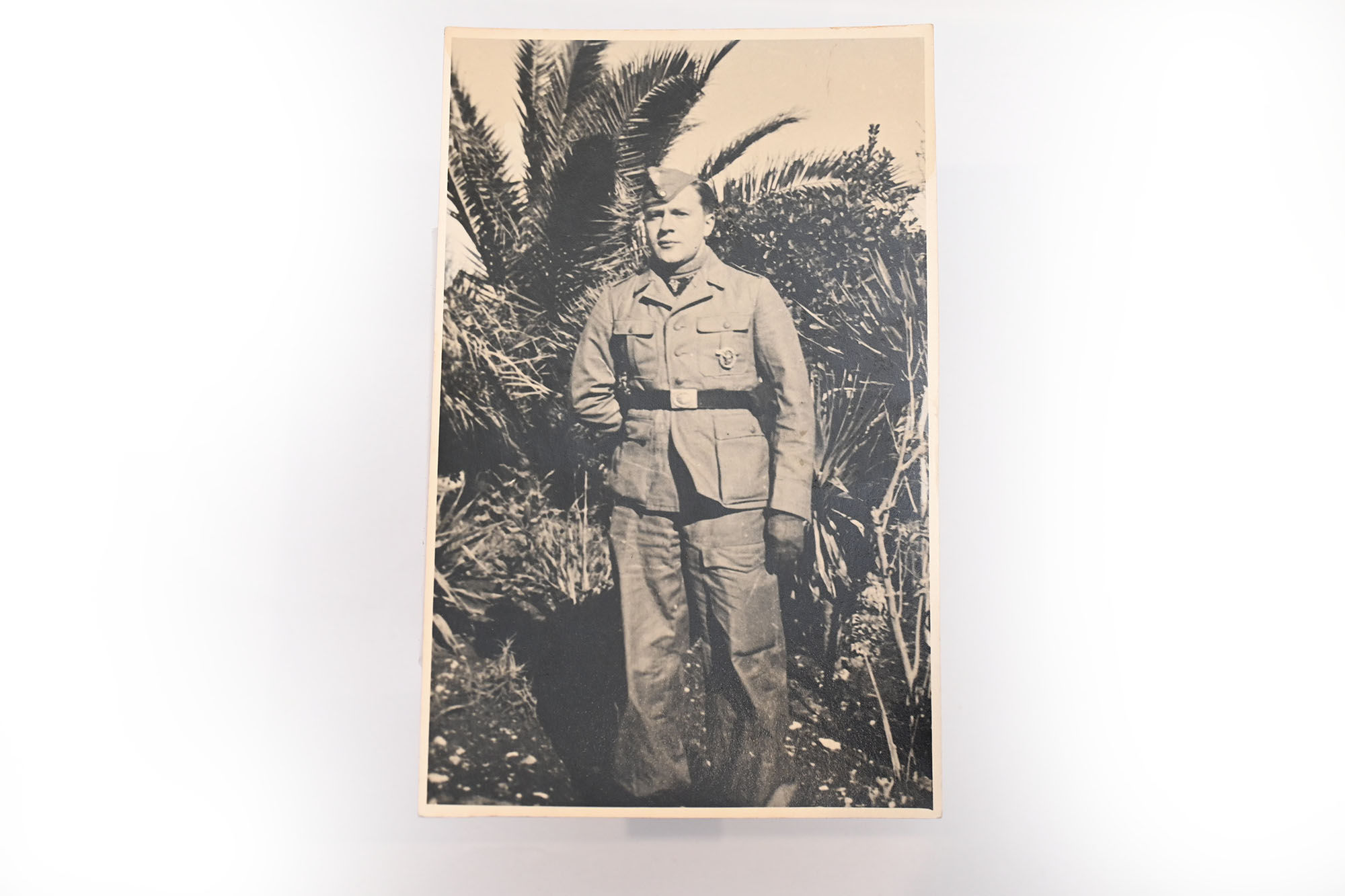 luftwaffe tropen postkaart