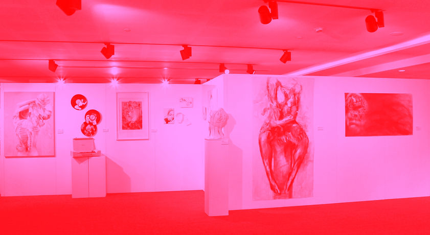 Exhibition Photo 1_edited.jpg