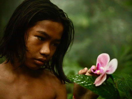 43° TFF - The Garden of the Earthly Delights by Morgan Knibbe (Olanda/Filippine, 2025)