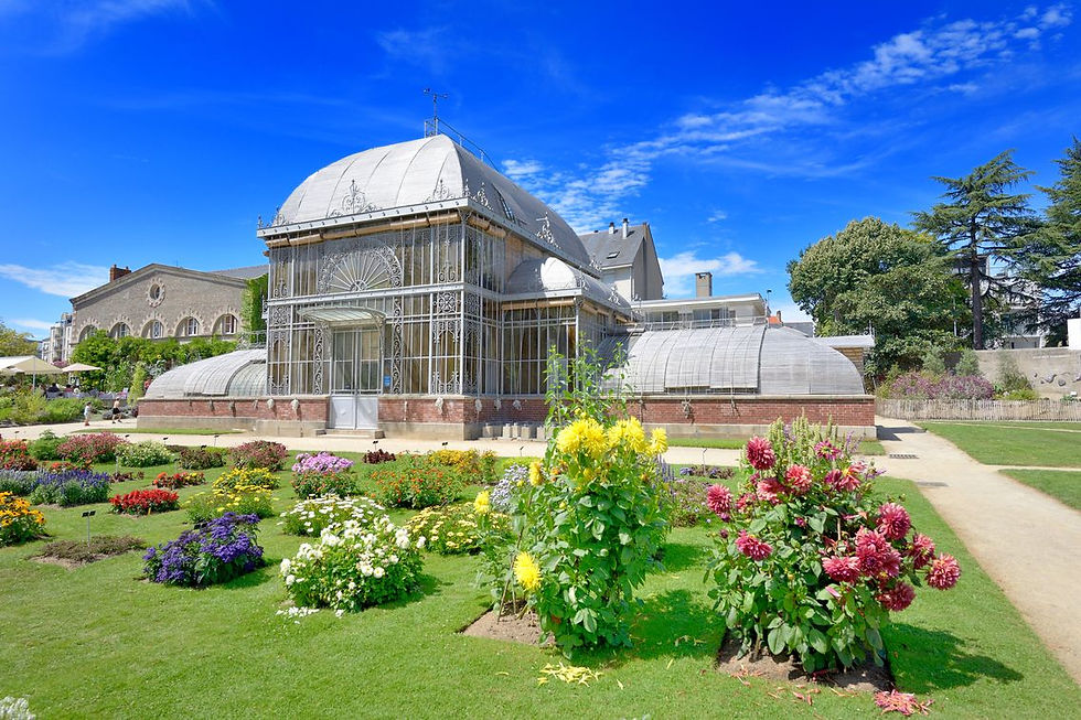 Le jardin des plantes