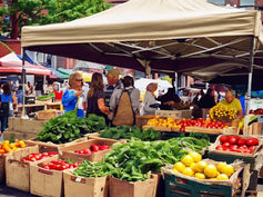 Celebrate Plastic-Free Day May 25 & Live a Greener Tomorrow!