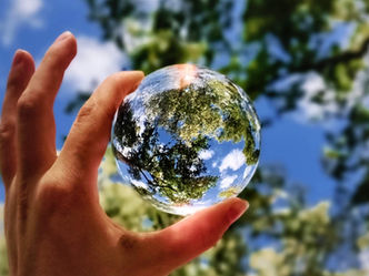 Celebrate Earth Day with 12 Sustainable Organizing Practices