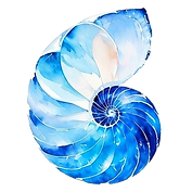 Nautilus.png