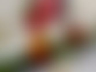 Mariage game of thrones