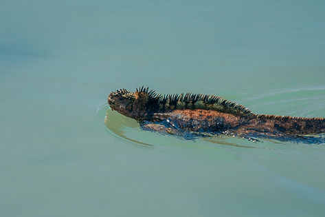 0223 - BLU Generales-50.JPEG