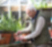 Planting a Plant_edited.jpg