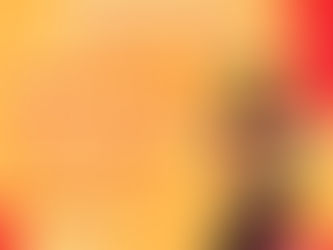 体験レッスンのご案内✨