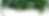 Tropical plants-top left.png