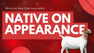 Native on Appearance Program: Expanding Opportunity for ABGA Members