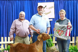 Roger McSwain with his award winning red Boer Goat