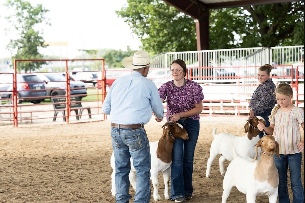 Junior American Boer Goat Association President Cecelia Knott