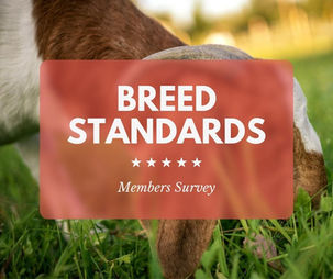 Breed Standards Member Survey: Elf & Gopher Ears