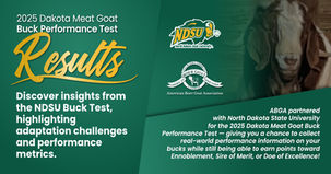 Dakota Meat Goat Buck Performance Test Results