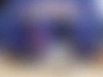 Reserve Champion Percentage Doe - Teagan Walker