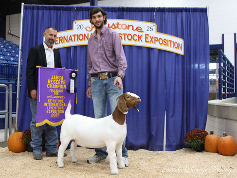 Reserve Champion Percentage Doe - Teagan Walker