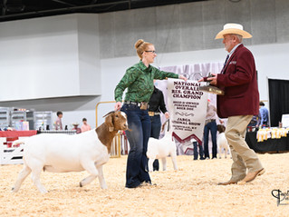 Logan Hollen accepting her award with her Boer goat.
