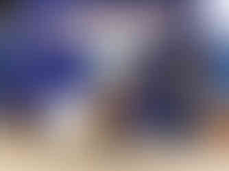 Reserve Champion Percentage Doe - Teagan Walker