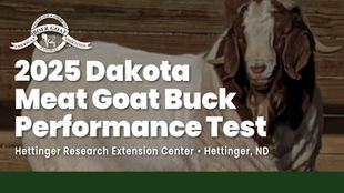2025 Dakota Meat Goat Performance Test