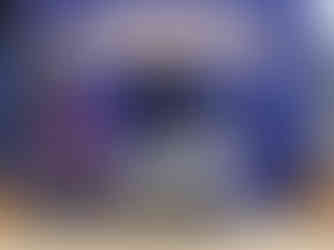 Reserve Champion Percentage Doe - Teagan Walker