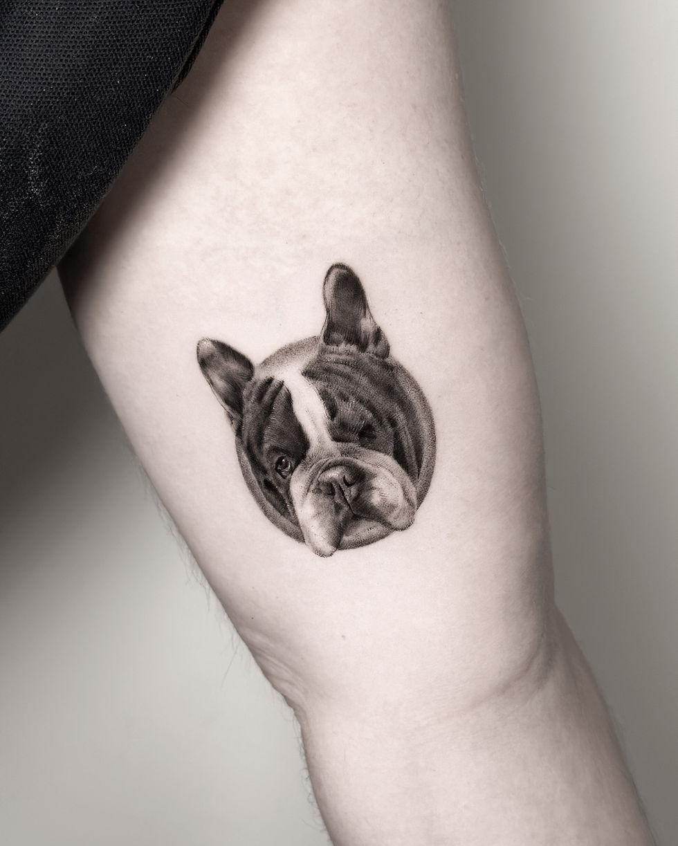 Micro realism dog portrait tattoo with soft shading and fine details