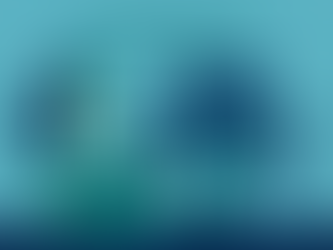 Introduction to Move In and Move Out Cleaning Services