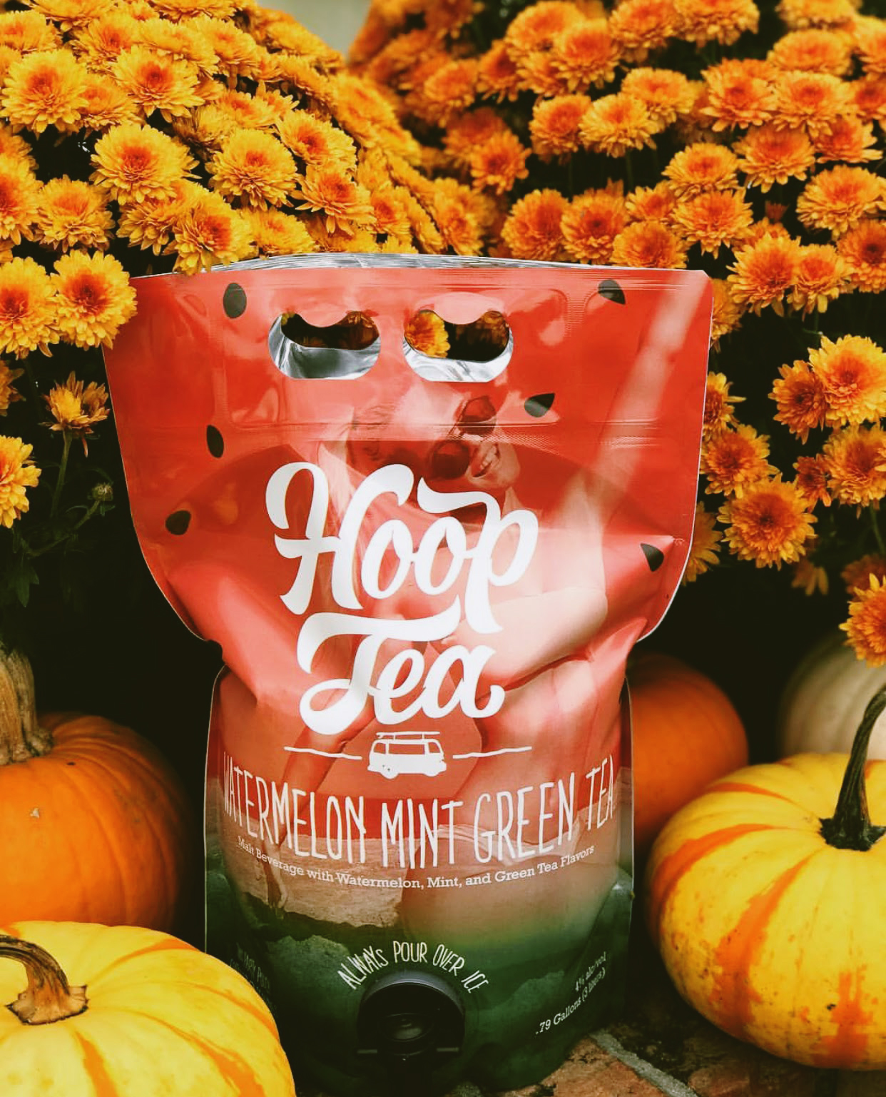 Hoop Tea / The Official Drink Of Day Drinking