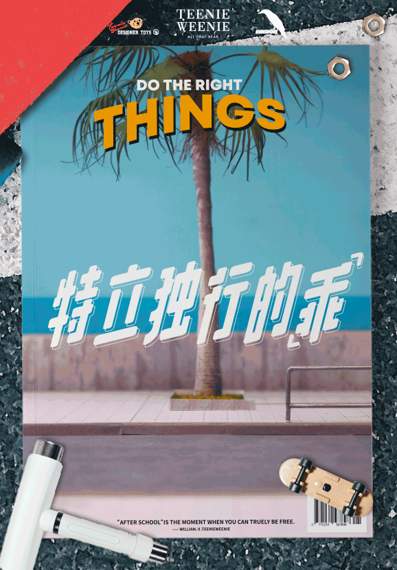magazine-sk8er.gif