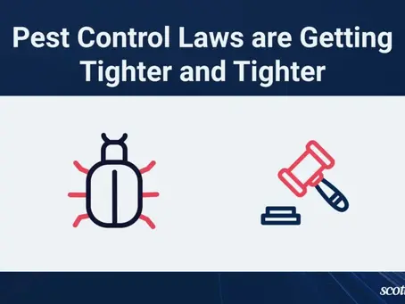 Pest Control Laws and Regulations in Rockwall: An Overview