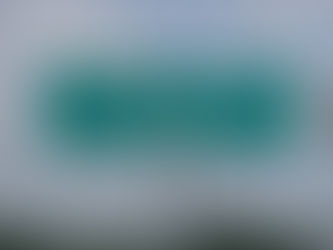 Termites Be Gone: The Caddo Mills Guide to Banishing the Silent Destroyers