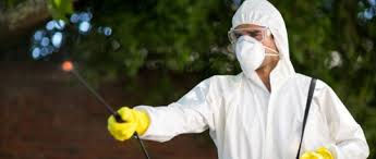 The Role of Professional Exterminators in Effective Pest Management for Homes in Prosper, Texas