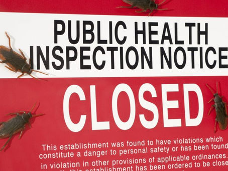 Mastering Pest Control in Sachse’s Culinary Scene: A Guide for Restaurants