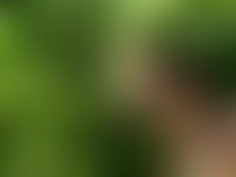 Keeping Farms Rodent-Free: Effective Rat Control Strategies for Terrell Farmers