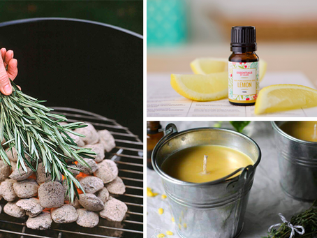 Embracing Nature’s Defense: Natural Pest Repellents in Wylie