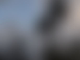 How Texas Weather Affects Pest Populations in Royse City